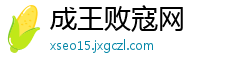 成王败寇网